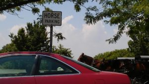 Horse Parking 1