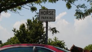 Horse Parking 2